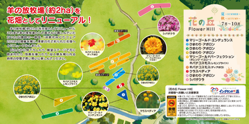花の丘「放牧場の花畑」