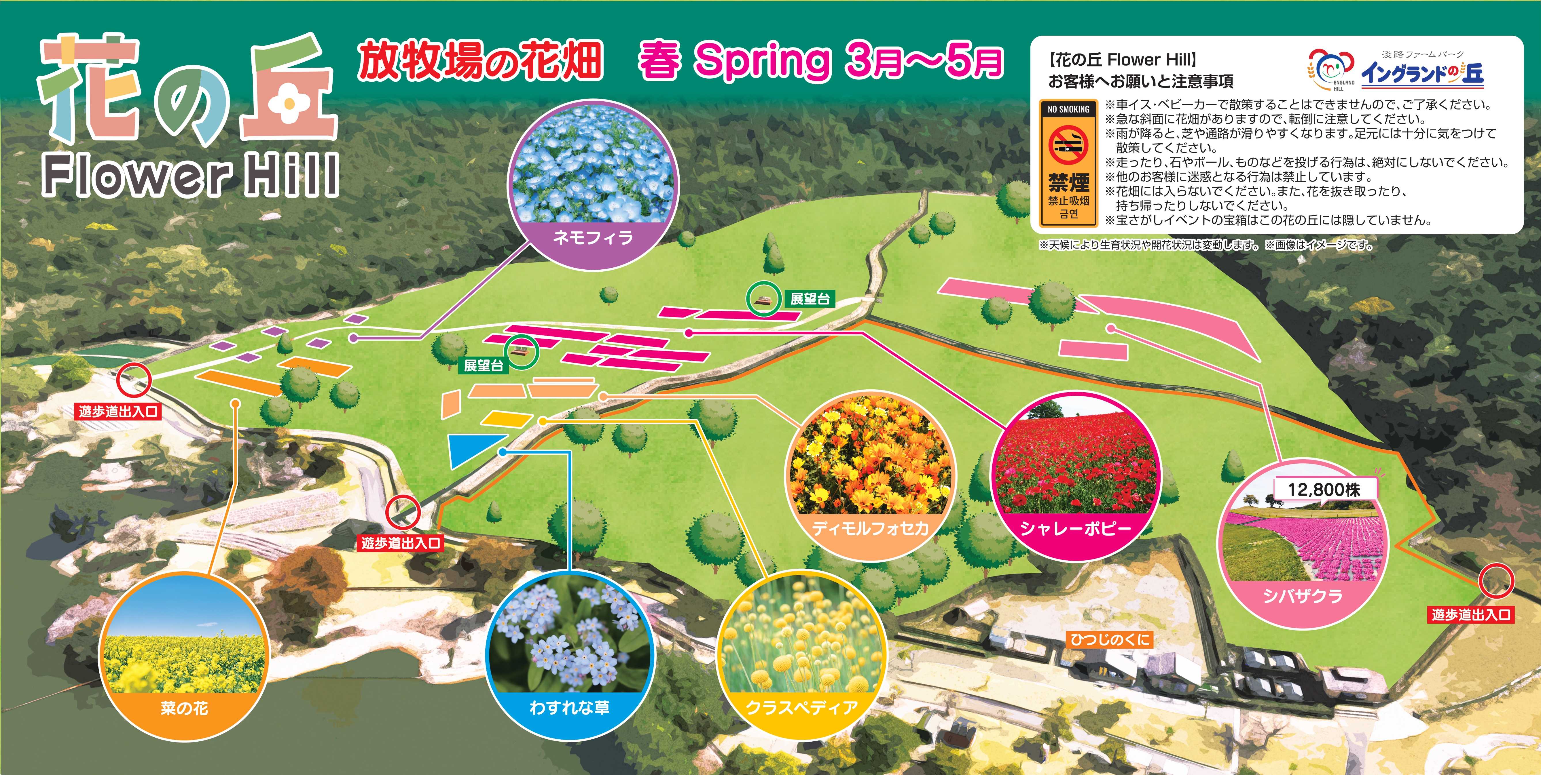 花畑案内図