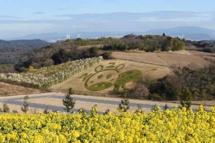 淡路花祭2026春は終了しました。