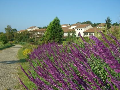 多彩な表情を感じる庭。サルビア・エレガンスほか(県立淡路景観園芸学校）