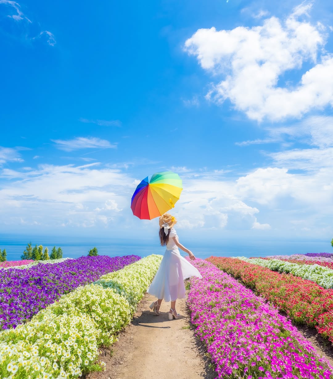 海の見えるお花畑