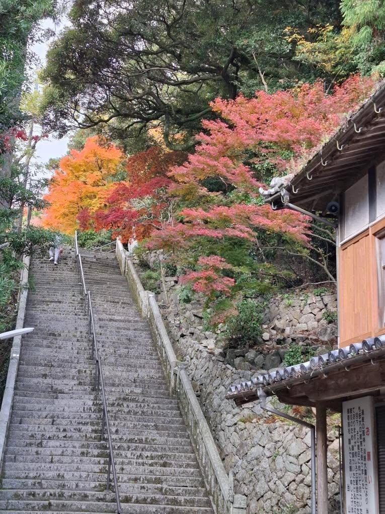 紅葉のある風景